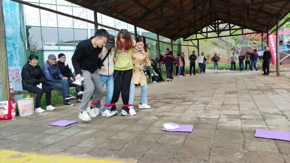 74ae6b3887fa39c52245a720f619fd3